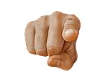 another word for finger pointing.